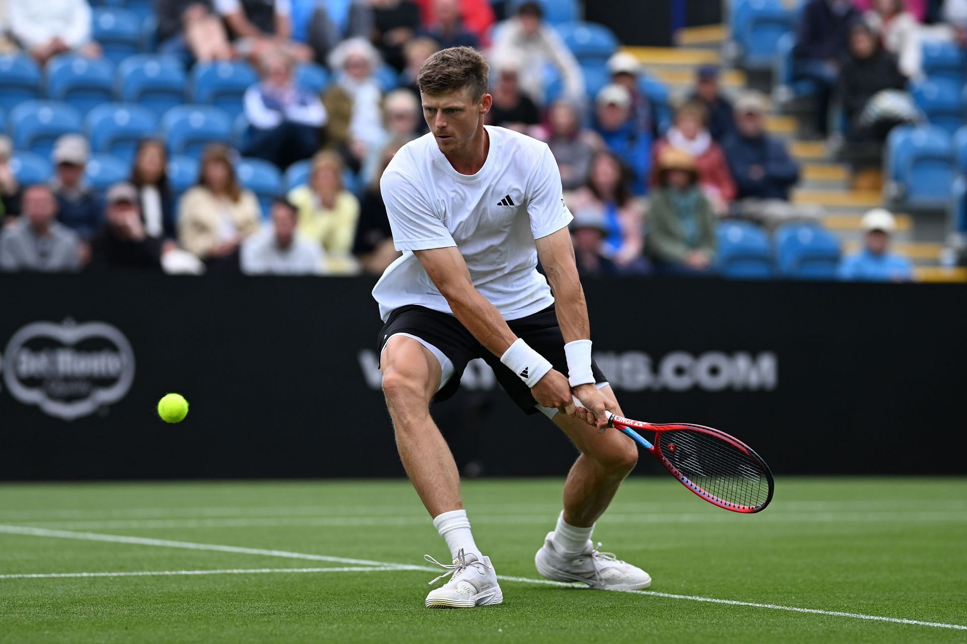 Harris at the Lexus Eastbourne Open - Day Two - Source: Getty